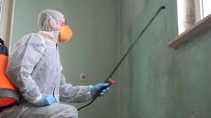 Best Commercial Mold Inspection in Slaton, TX